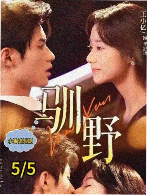 春江花月 剧集海报